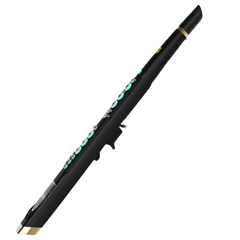 Musical Instrument You Blow Into - C20 true sampling huishoudelijke high-end intelligente