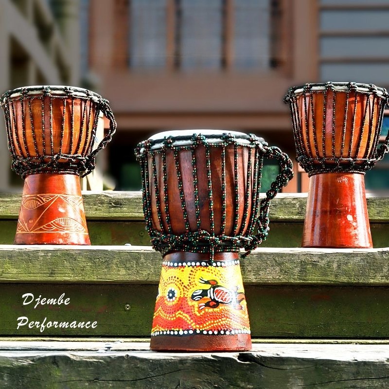 Djembe Hand Drum - Kinderen Beginner Kleine Afrikaanse Drum Massief