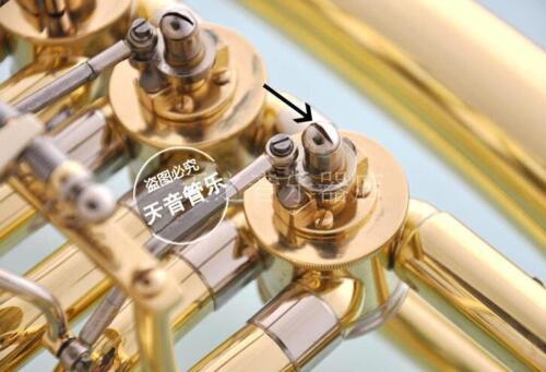 50 Stuks Nieuwe Franse Hoorn E - Musical Instrument Euphonium recensie en prijs