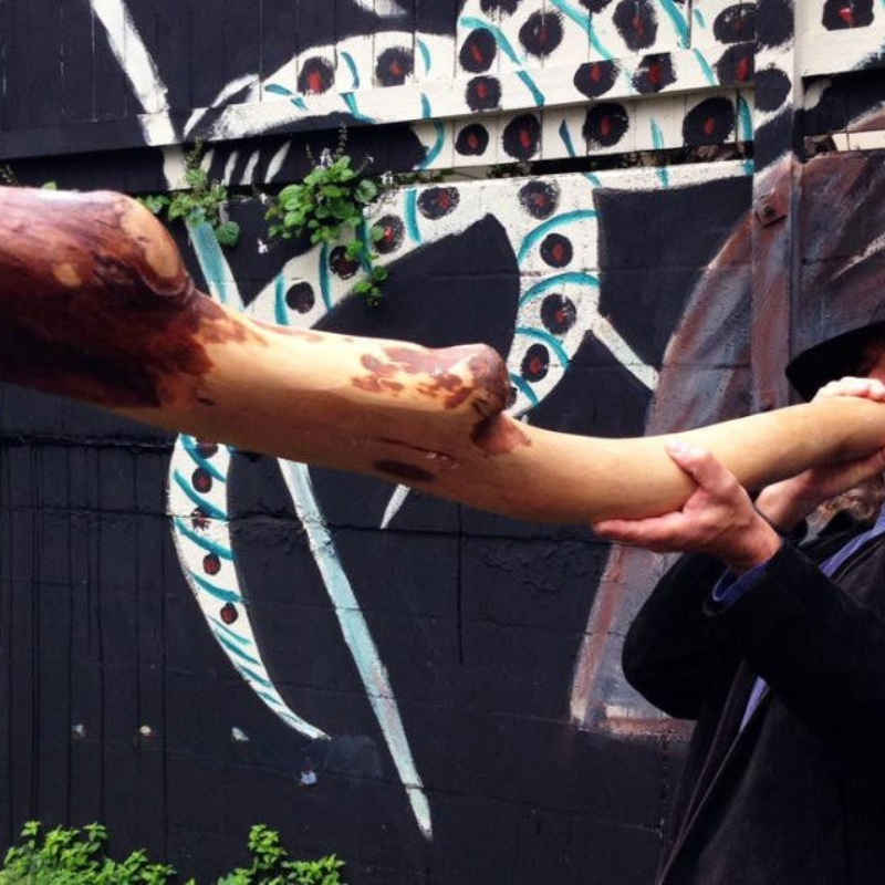 Australische geïmporteerde muz - Musical Instrument Didgeridoo recensie en prijs